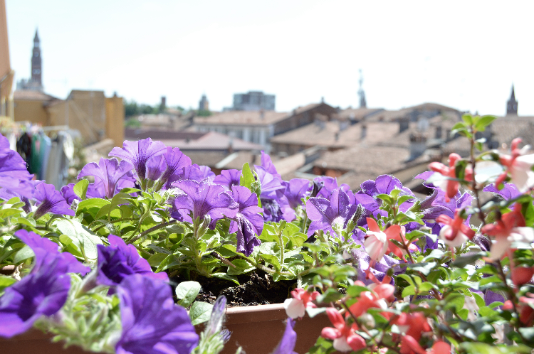 balcone terrazzo estate fiori