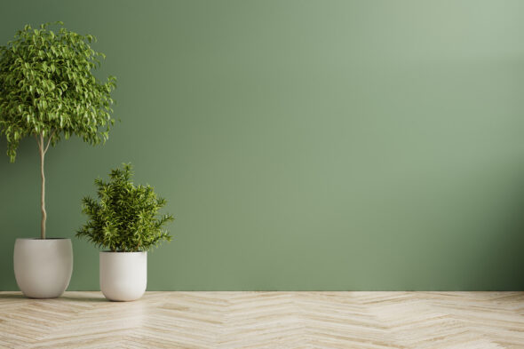 Growth: il vaso che segue il ciclo di vita della pianta