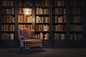 poltrona in pelle davanti a libreria