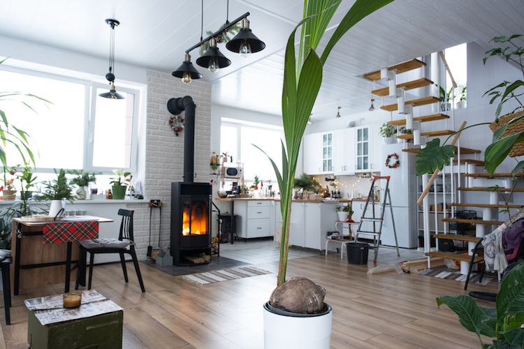 Le idee per dividere gli spazi di casa con le piante
