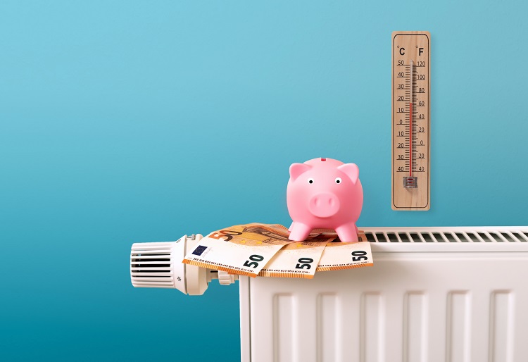 Quanto consuma un calorifero Cosa incide sul costo del riscaldamento e come risparmiare