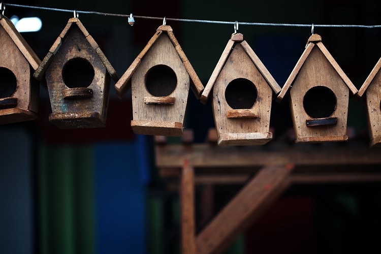 Come costruire una casetta per gli uccelli fai da te
