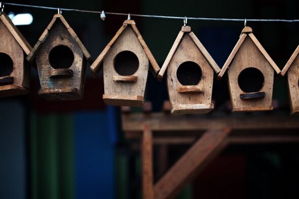 casetta per gli uccelli
