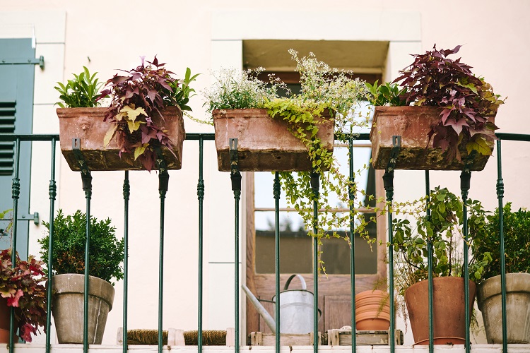 Quanto peso può reggere un balcone Attenzione a fiori, vasi e piante