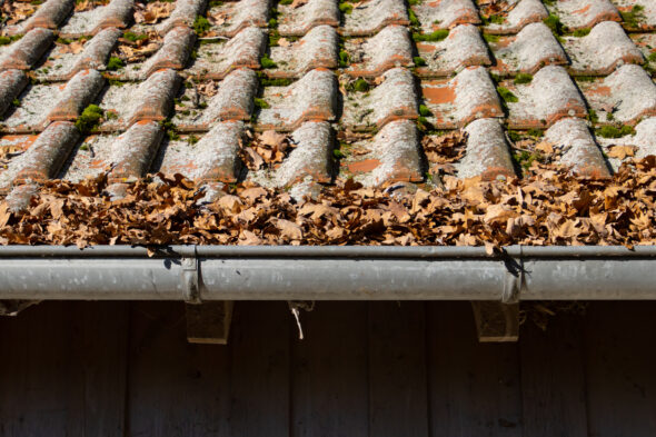 Grondaie intasate dalle foglie del vicino: ho diritto a un risarcimento?