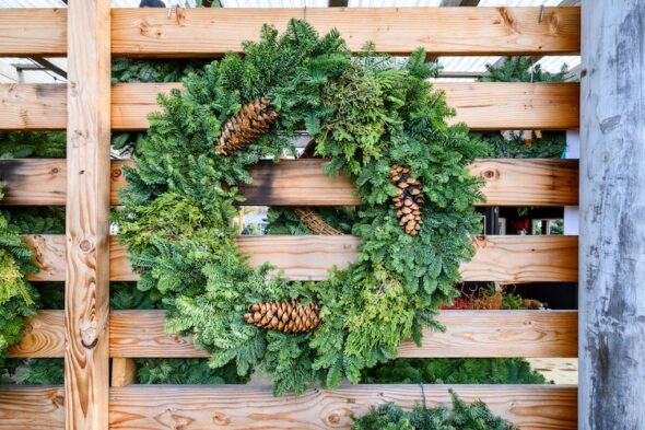 Ghirlanda con le pigne