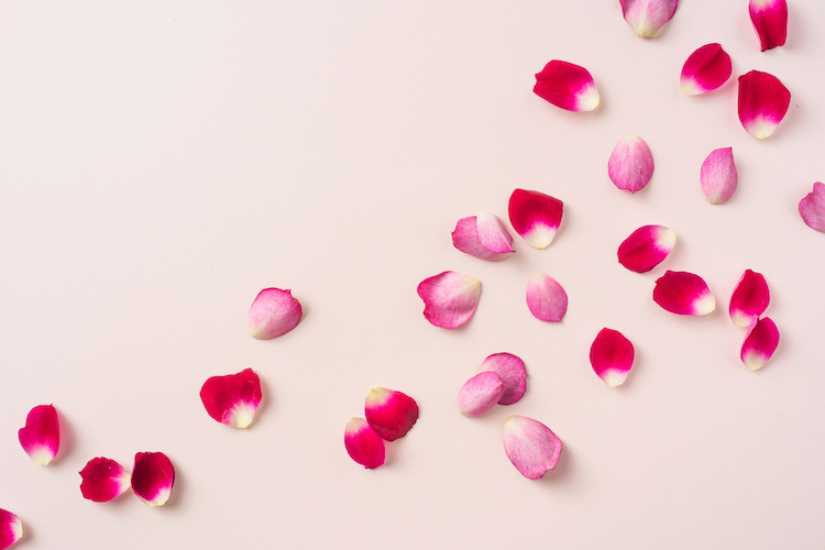 Petali di rosa, come riutilizzarli in modo creativo