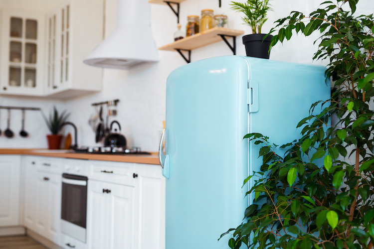 Guarnizione del frigorifero che puzza: perché succede e cosa fare
