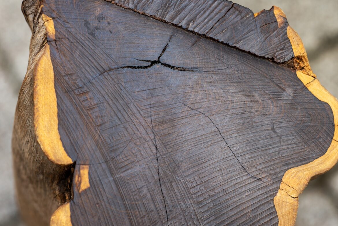 legno di ebano