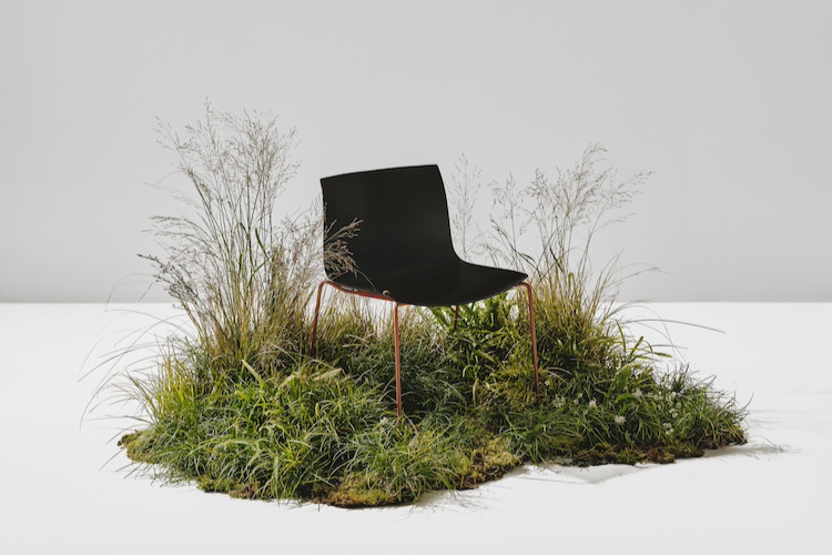 Sedia Arper Catifa Carta