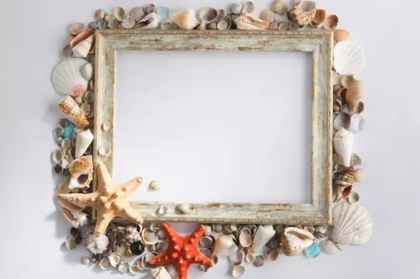 Come realizzare una cornice fai da te con le conchiglie