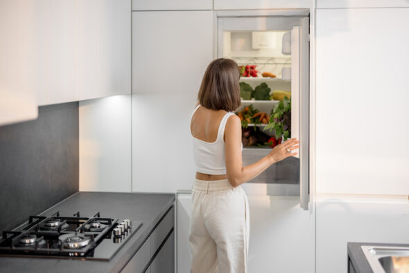 Quanto dura il cibo in frigo senza corrente?