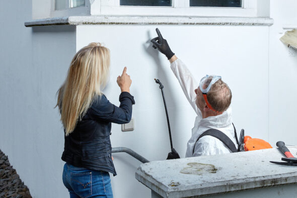 Piccoli insetti neri sui muri di casa: cosa sono e come eliminarli