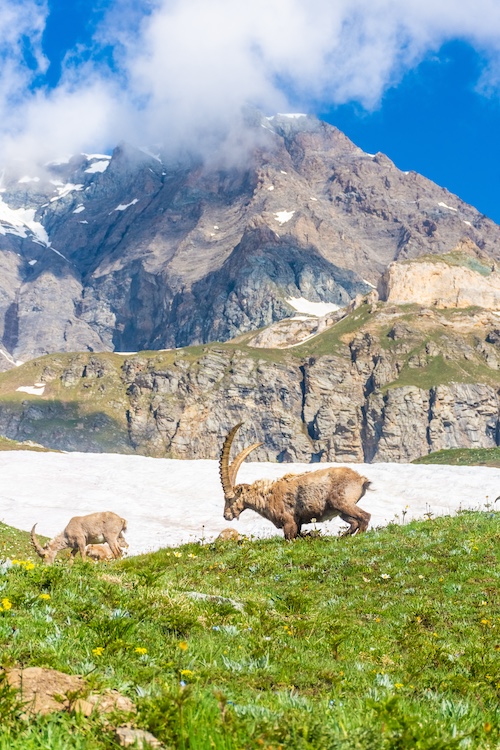 Parco Nazionale del Gran Paradiso
