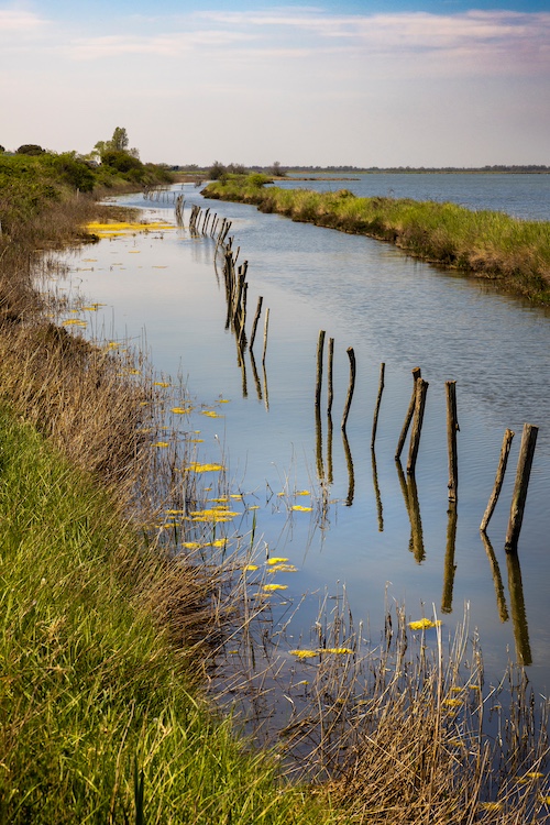 Parco del Delta del Po