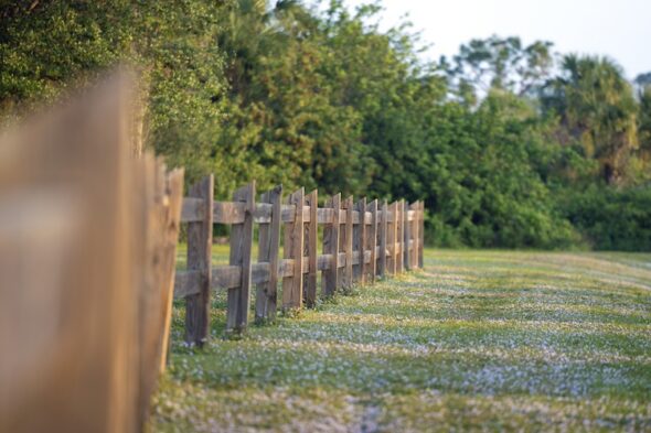 recinzione tra due proprietà