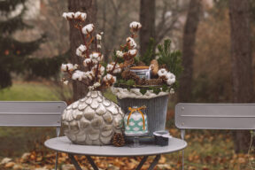 Come conservare i fiori di cotone e come usarli per abbellire la casa