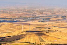 Tavoliere delle Puglie