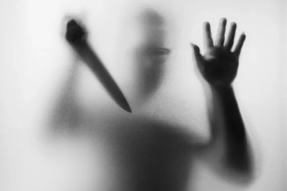 The Psycho house: a chilling place of screams, from Hitchcock to Ed Gein