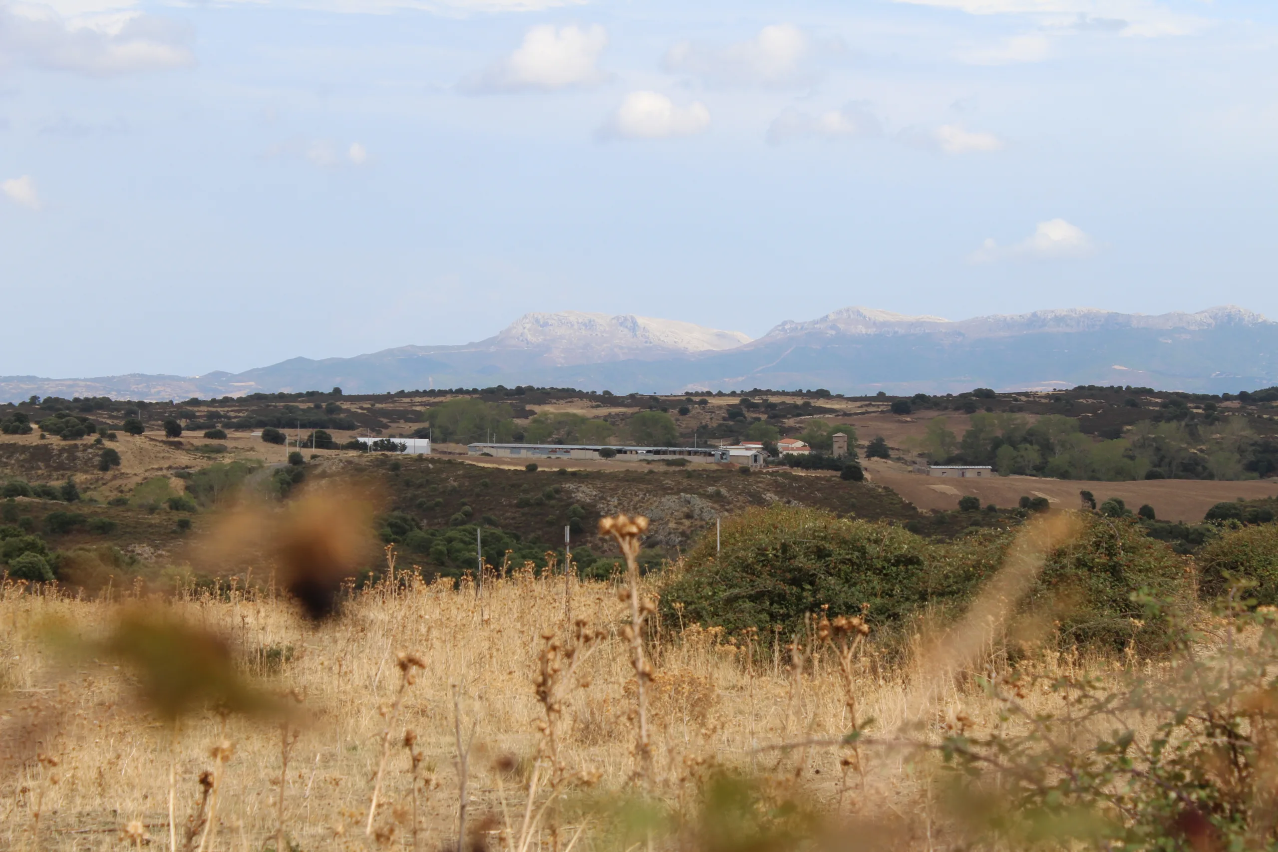 Onani NU Casa di Reclusione Mamone C FAI 3 scaled