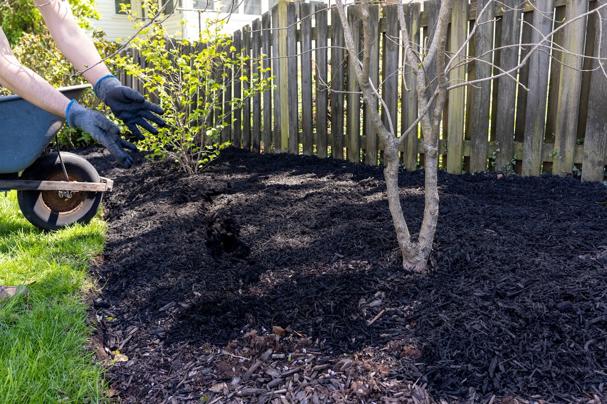 pacciamatura con cippato