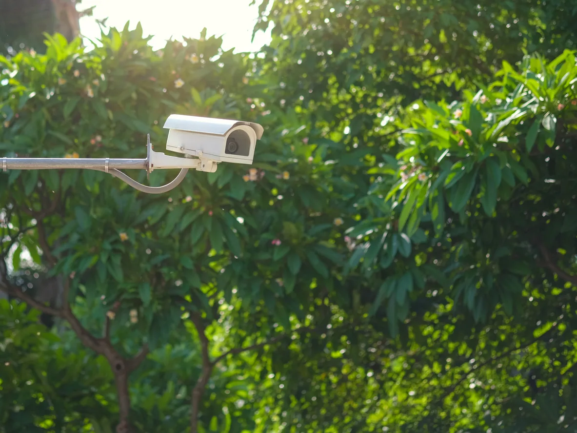 telecamera in giardino