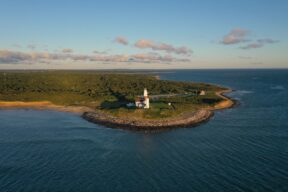 If I Had Legs I’d Kick You: l’assurdo viaggio di una madre tra le stanze della sua mente